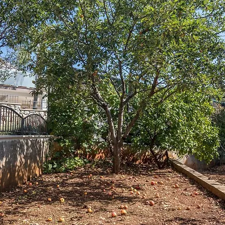 Apartamento Dragan Trogir